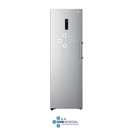 Congélateur vertical LG GC-B414ELFM  324 Litres