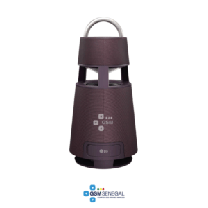 Portable speaker LG RP4 120Watts